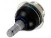 Joint de suspension Ball Joint:2L3Z-3050-AA