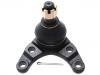 Ball Joint:UR61-34-550